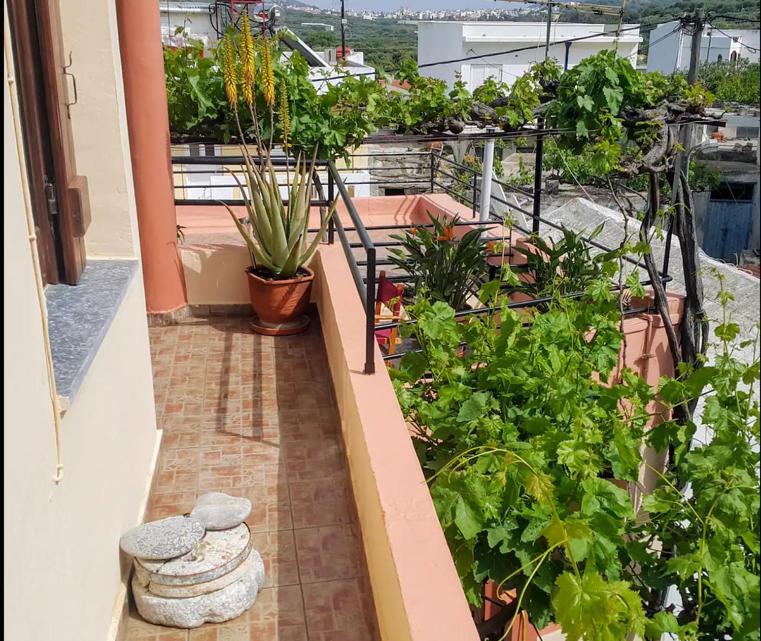 Traditional Residence With Terrace Latsida Bagian luar foto